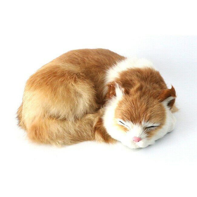 樂天商城 - 猫 置物 インテリア ibq025