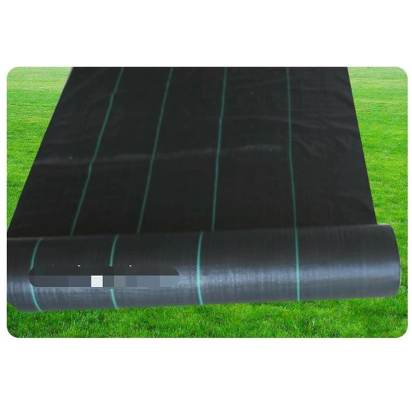 ���������� ���𥷡��� 4m��100m �� ����ɤ����� ����Хꥢ���� ��������������ѥ����ǥ˥���