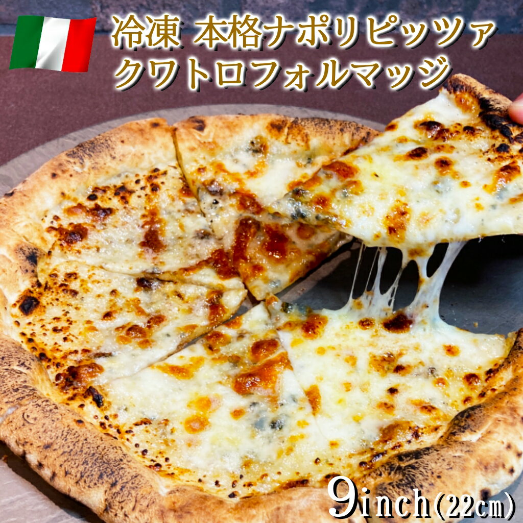 イタリア屋タニーチャ 長時間低温 発酵生地 がおいしい 冷凍 ピッツァ クワトロフォルマッジ 22cm 本格 ピザ ナポリタイプ  モッツァレラ ゴルゴンゾーラ イタリアン 濃厚 お取り寄せ グルメ パーティ 家飲み ワイン おもてなし キャンプ飯