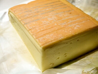 チーズ タレッジョ ウォッシュ DOP イタリア産 約500g