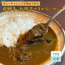 タニーチャ シェフが気分で作る 飛騨牛 松阪牛 の まかない カレー 250g 高級 イタリアン レストラン 虎ノ門タニーチャ特製 1人前 冷凍