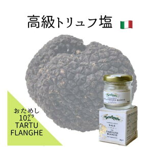 ポイント消化 送料無料 タルトゥフランゲ 白トリュフ塩 イタリア産 お試しサイズ 10g