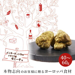 フレッシュ 白トリュフ イタリア ピエモンテ産 40〜60g 【1g当たり期間限定1840円（税込）で再計算】フレッシュトリュフ フレッシュ トリュフ トリフ グルメ 冷蔵 高級食材 高級食材グルメ オードブル ギフト プレゼント バレンタイン バレンタインデー 2023 義理 本命