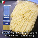 ダル クオーレ パスタ スパゲッティーニ 1.4mm 500g イタリア産 ロングパスタ スパゲティ スパゲッティ パスタ麺 麺 麺類