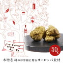 フレッシュ 白トリュフ イタリア ピエモンテ産 50g 【1g当たり期間限定1400円（税込）で再計算】フレッシュトリュフ フレッシュ トリュフ トリフ グルメ 冷蔵 高級食材 高級食材グルメ オードブル お歳暮 ギフト 秋ギフト プレゼント