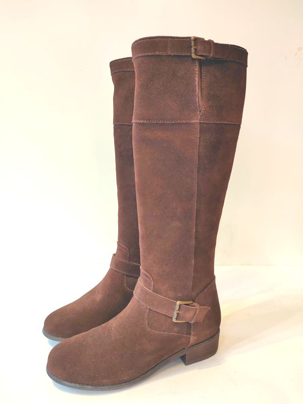 ���㤤���֡���(������) ��ǥ����� �ܳץ��֥�٥�� ���󥰥֡��� ��������