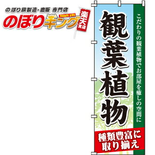 樂天商城 - 【全国一律送料341円】 観葉植物 のぼり旗 0240110IN 60cm×180cm