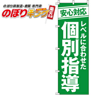 【全国一律送料341円】 個別指導 のぼり旗 0270048IN 60cm×180cm