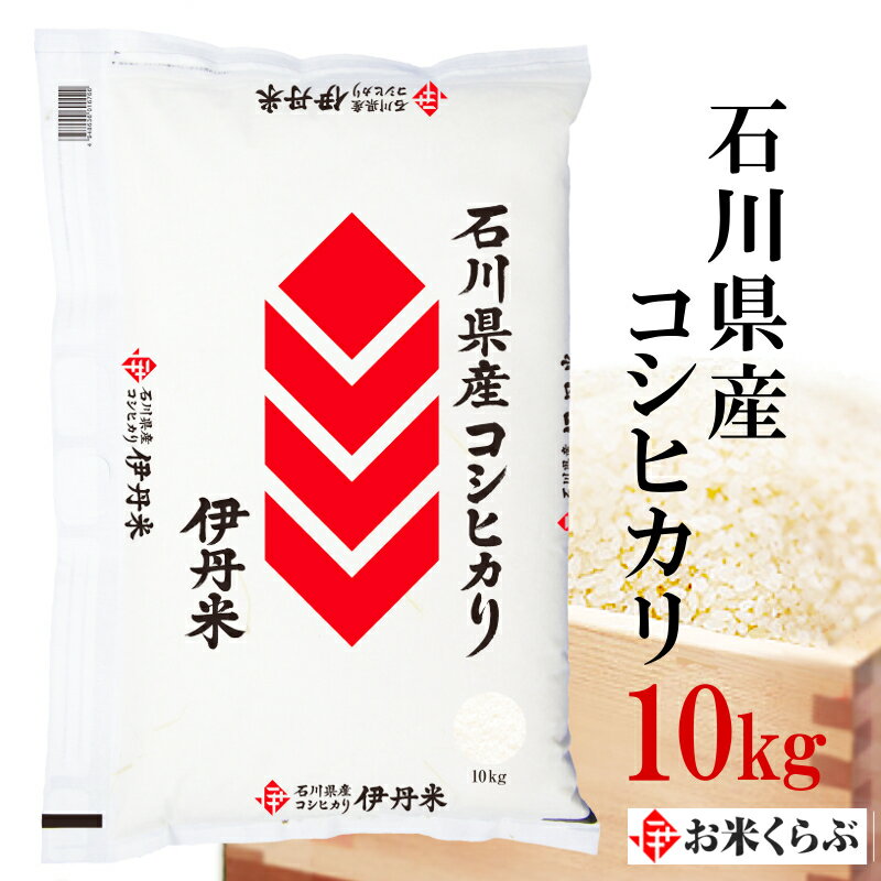 精米 米 10kg 令和5年産 伊丹米 石川県産コシヒカリ 