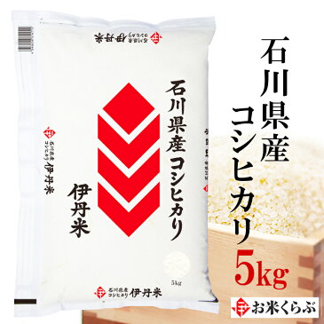 精米 米 5kg 令和元年産 伊丹米 石川県産コシヒカリ 5kg 白米