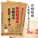 精米 令和5年産 特別栽培米 伊丹米 宮崎県産ミルキークイーン 10kg(5kg×2) 白米 母の日 内祝い 熨斗承ります