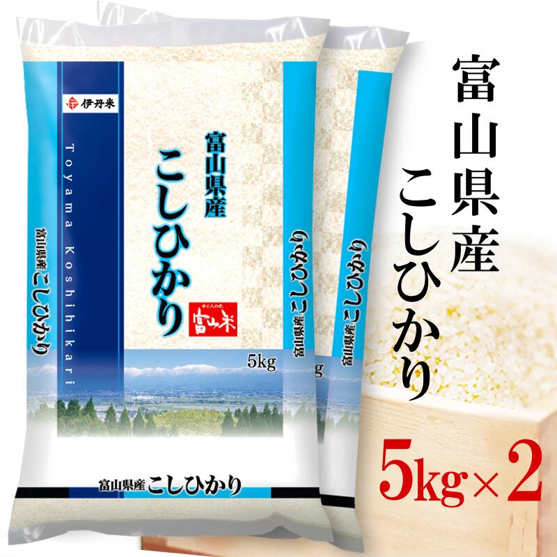 精米 米 10kg(5kg×2) 令和5年産 伊丹米 富山県