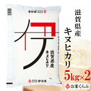 米 10kg(5kg×2) 令和元年産 伊丹米 滋賀県産キヌヒカリ 10kg（5kgx2）白米 寒中見舞い 熨斗承ります