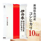 精米 10kg 令和5年産伊丹米 新潟県魚沼産コシヒカリ 10kg 白米 母の日 内祝い 熨斗 のし 承ります