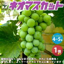 【P2倍★マラソン期間中】ぶどうの苗 品種:ネオマスカット【果樹の苗木 4〜5号ポット/1個売り】ぶどう苗 ブドウ苗 葡萄苗 ぶどうの苗木 果樹苗 果樹 果物 ...