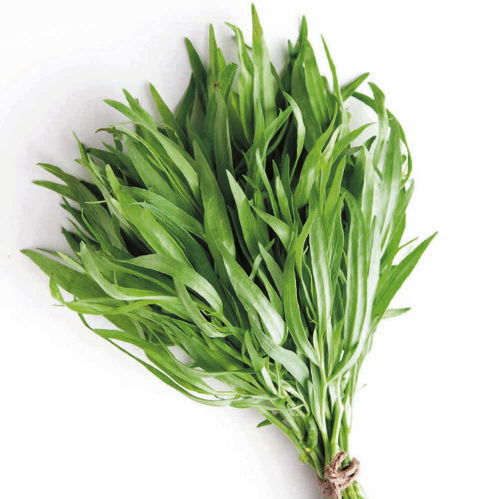 タラゴンってどんなハーブ 特徴 効能や育て方から食べ方までご紹介 Botanica