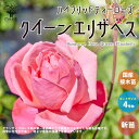 【マラソン中★ポイントUP】薔薇の苗 クイーンエリザベス (四季咲きハイブリッドティーローズ)【花苗 国産接ぎ木苗 新苗4号ポット／1個売り】バラ苗 バラの苗 薔薇苗 薔薇の苗 花苗 花の苗 ローズガーデン イングリッシュガーデン バラ園 フラワーガーデン