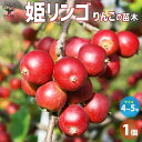 【送料無料】りんごの苗木 姫りんご 果樹の苗木 4~5号ポット 1個売り 果樹苗 果樹の苗 林檎 りんごの苗 アップル apple 果樹 りんご リンゴ 送料無料 即納
