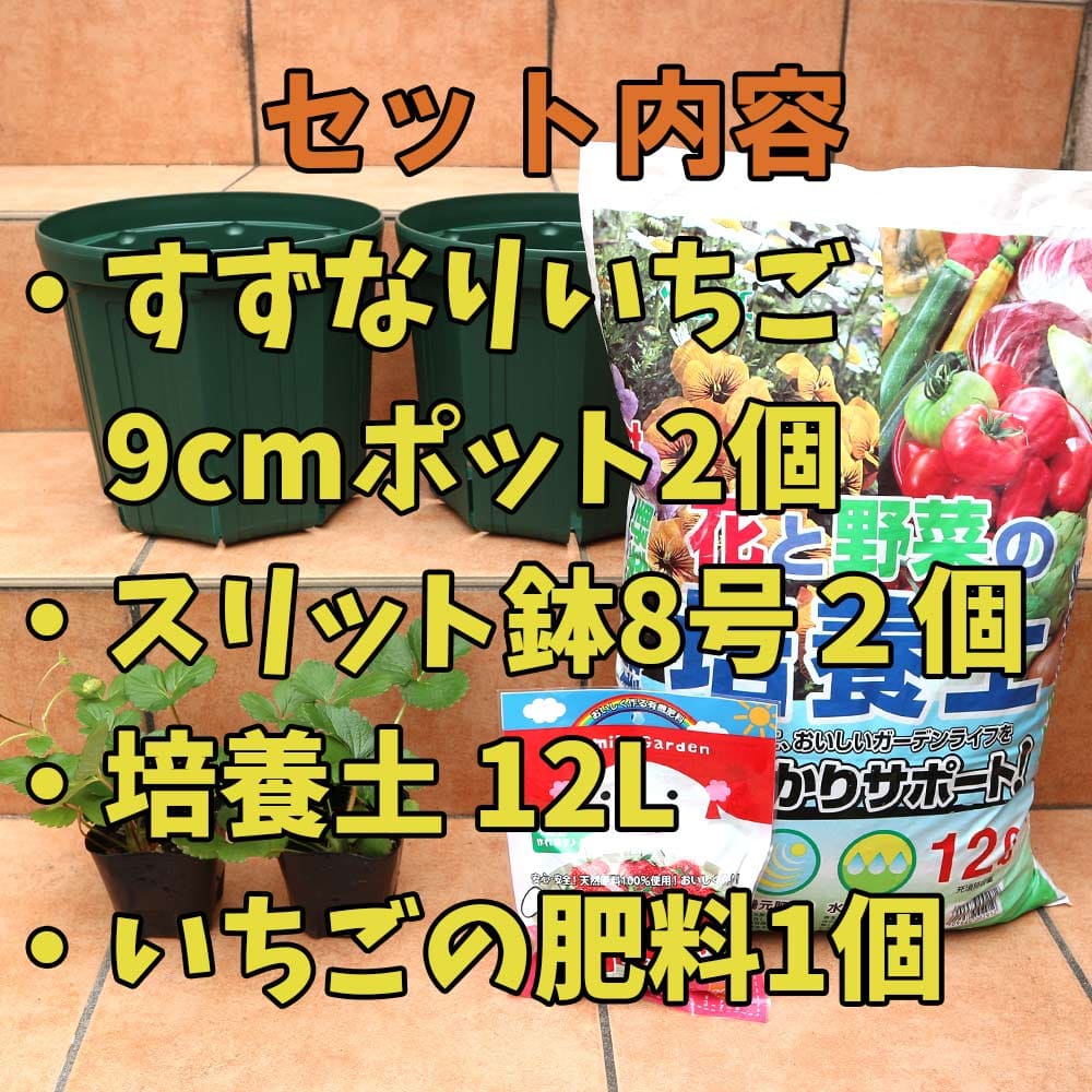 【SALE特別価格】人気のすずなりいちご栽培セット【野菜苗 9cmポット＆資材セット/即出荷】【セット内容：すずなりいちご9cm2個／スリット鉢8号2個／培養土12L1個／いちごの肥料1個】栽培セット 栽培キット セット販売 いちご苗 いちごの苗 果樹苗 icg3