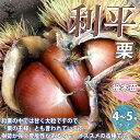 【P2倍★マラソン期間中】利平 栗の苗木【果樹の苗木 12〜15cmポット 1年生 接木苗/1個売り】栗苗 栗の苗 栗の木 くりの苗 クリの苗 くりの苗木 ブナ...