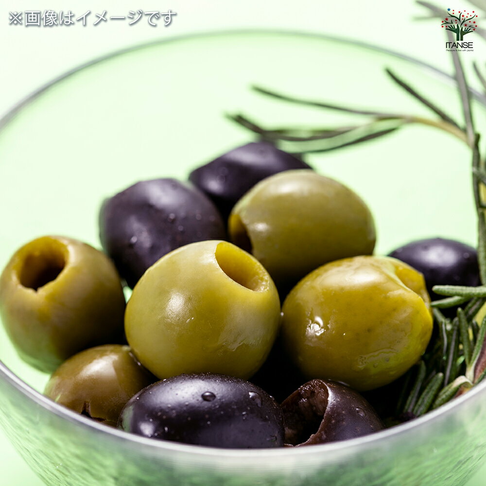 【送料無料】オリーブ ワラサ 【 果樹の苗木 5号／1個売り 】 オリーブの実 植木 ...