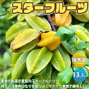 ڥޥ饽ݥUPۥե롼Ĥġڲ̼ 13.5cmݥå 1ۥե롼 ̻   Х߲ starfruit carambola Averrhoa carambola  