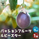 【送料無料】パッションフルーツ ルビースター 果樹の苗 9cmポット 1個売り 果樹苗 果樹の苗 パッションフルーツの苗 パッションフルーツ 果樹 果物 送料無...