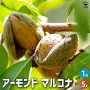 【P2倍★マラソン期間中】アーモンド マルコナ【果樹の苗木 5号ポット】アーモンドの苗木 アーモンドの木 オイル ヘーゼルナッツ ナッツ クルミ くるみ おつま...