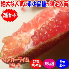 https://thumbnail.image.rakuten.co.jp/@0_mall/itanse/cabinet/fruits/rea/nae00303_r01.jpg