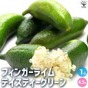 【P2倍★マラソン期間中】フィンガーライム テイスティーグリーン【果樹の苗木 4.5号ポット】キャビアライム キャビア ライム 果樹苗 果樹 果物 くだもの