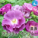 【マラソン中★ポイントUP】薔薇ラプソディ イン ブルー【花苗 4号鉢／1個売り】バラ苗 バラの苗 薔薇苗 薔薇の苗 花苗 花の苗 ばら ローズ Rosa ベランダ栽培 rosegarden