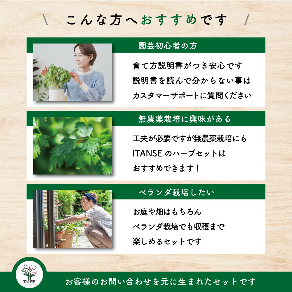 【送料無料】大人気！お買い得！選べるハーブセット ハーブ苗9〜10.5cmポット イタ...