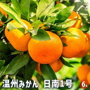 【送料無料】みかんの苗木 温州みかん 日南 【 果樹の苗木 6号/1個売り 】 ミカン苗 シンボルツリー 記念樹 路地植え