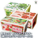 【送料無料】 栽培セット エンジョイプランター 3種セット【 枝豆 トマト 苺 各1個(計3個セット) 】 簡単キット 栽培キット お手軽ガーデニング