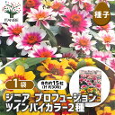 【SS期間全品10%OFF】 種子 ジニア Pフュージョンツインバイカラー 【 各約15粒/1袋売り 】 種 seed タネ 植物の種 栽培 ガーデニング ガーデン 園芸 家庭菜園 保管 保存
