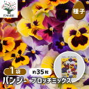 【送料無料】 種子 パンジー ブロッチミックス 【 約35粒/1袋売り 】 種 seed タネ 植物の種 栽培 ガーデニング ガーデン 園芸 家庭菜園 保管 保存