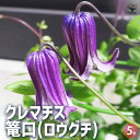 商品画像3