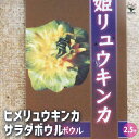 【P2倍★マラソン期間中】ヒメリュウキンカ サラダボウル 【 花苗 2.5号 】 花苗 花木 花の苗 キンポウゲ 多年草 球根 球根植物 植木 庭木 寄せ植え
