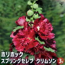 【送料無料】ホリホック スプリングセレブ クリムソン 【 花苗 3号 】 花苗 お花の苗 花 生け花 切花 切り花 花木 庭木 庭 庭園 鉢植え 育てやすい 寄...