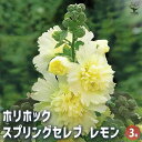 【送料無料】ホリホック スプリングセレブ レモン 【 花苗 3号 】 花苗 お花の苗 花 生け花 切花 切り花 花木 庭木 庭 庭園 鉢植え 育てやすい 寄せ植...
