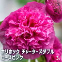 【送料無料】ホリホック チャーターズダブル ローズピンク 【 花苗 3号 】 花苗 お花の苗 花 生け花 切花 切り花 花木 庭木 庭 庭園 鉢植え 育てやすい...