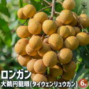 【P2倍★マラソン期間中】ロンガン(竜眼・リュウガン)の苗木 大鵜円龍眼(タイウェンリュウガン) 【果樹の苗木 6号ポット/1個売り】果樹 果樹苗 苗木 ロンガ...