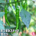 【P2倍★マラソン期間中】とうがらしの苗 おつまみスナック甘とう 【野菜の苗 3号】とうがらし とうがらし苗 トウガラシ トウガラシ苗 唐辛子苗 島とうがらし苗...