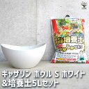 【P2倍★マラソン期間中】ギャザリン ボウル ホワイト 【資材 Sサイズ&花と野菜の培養土 ふかふか仕立て5L】プラスチック 寄せ植え コンパクト 受皿 浅皿 ...