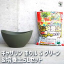 【P2倍★マラソン期間中】ギャザリン ボウル グリーン 【資材 Sサイズ&花と野菜の培養土 ふかふか仕立て5L】プラスチック 寄せ植え コンパクト 受皿 浅皿 ...