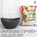 【P2倍★マラソン期間中】ギャザリン ボウル ダークグレー 【資材 Sサイズ&花と野菜の培養土 ふかふか仕立て5L】プラスチック 寄せ植え コンパクト 受皿 浅...