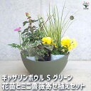 【P2倍★マラソン期間中】ギャザリン ボウル グリーン 【資材 Sサイズ 季節の花苗&カラーリーフ寄せ植え風 投げ込みAセット】プラスチック 寄せ植え コンパク...