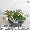 【P2倍★マラソン期間中】ギャザリン ボウル ダークグレー 【資材 Sサイズ 季節の花苗&カラーリーフ寄せ植え風 投げ込みBセット】プラスチック 寄せ植え コン...