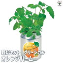 【P2倍★マラソン期間中】栽培セット グリーンカン オレンジバーム 【1個売り】簡単キット 栽培キット お手軽ガーデニング