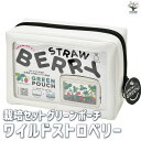 【P2倍★マラソン期間中】栽培セット グリーンポーチ ワイルドストロベリー 【1個売り】簡単キット 栽培キット お手軽ガーデニング